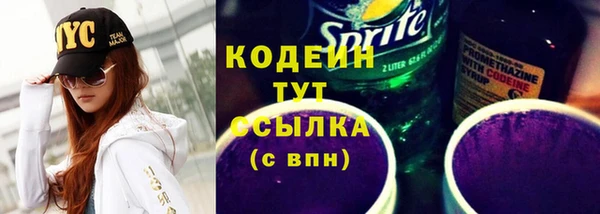 гидра Осинники
