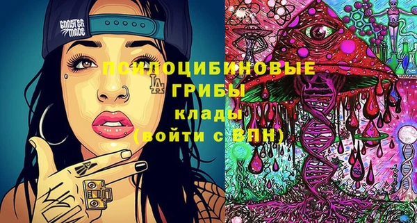 ECSTASY Абаза