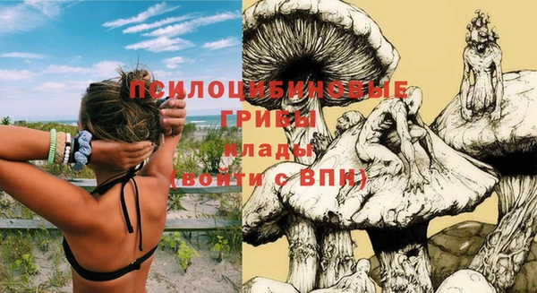 ECSTASY Абаза