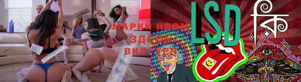 ECSTASY Абаза